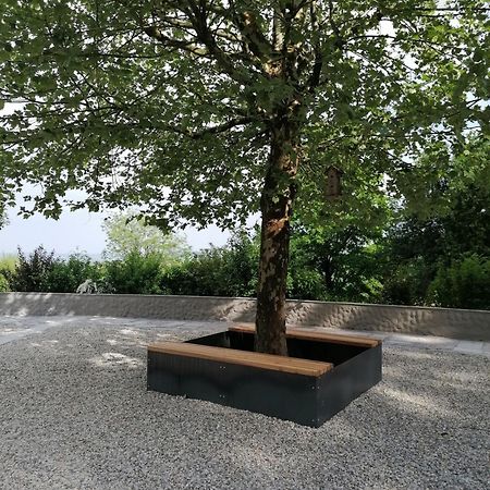 Ferienwohnung Schuhmann Mit Wintergarten Und Garten Therme Aquapulco Und Ikuna Erlebnispark, Zoo Schmiding 20 Min Mit Auto Entfernt Ab 3 Naechte Buchbar Hinzenbach Exterior foto