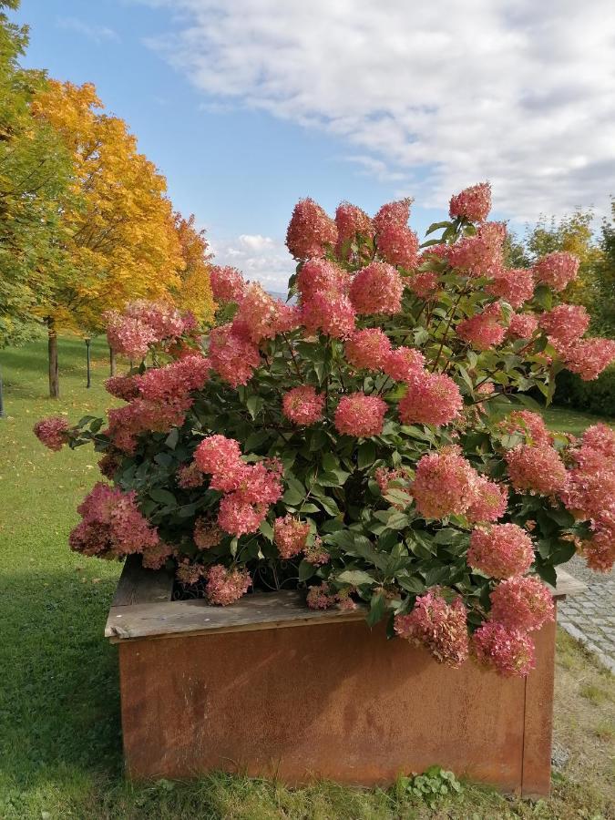 Ferienwohnung Schuhmann Mit Wintergarten Und Garten Therme Aquapulco Und Ikuna Erlebnispark, Zoo Schmiding 20 Min Mit Auto Entfernt Ab 3 Naechte Buchbar Hinzenbach Exterior foto