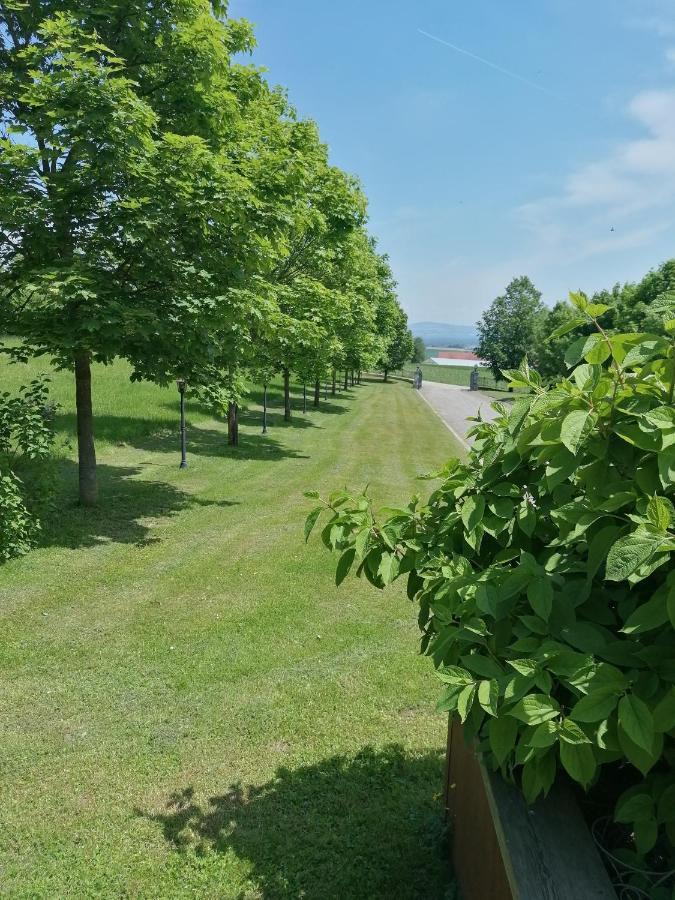 Ferienwohnung Schuhmann Mit Wintergarten Und Garten Therme Aquapulco Und Ikuna Erlebnispark, Zoo Schmiding 20 Min Mit Auto Entfernt Ab 3 Naechte Buchbar Hinzenbach Exterior foto